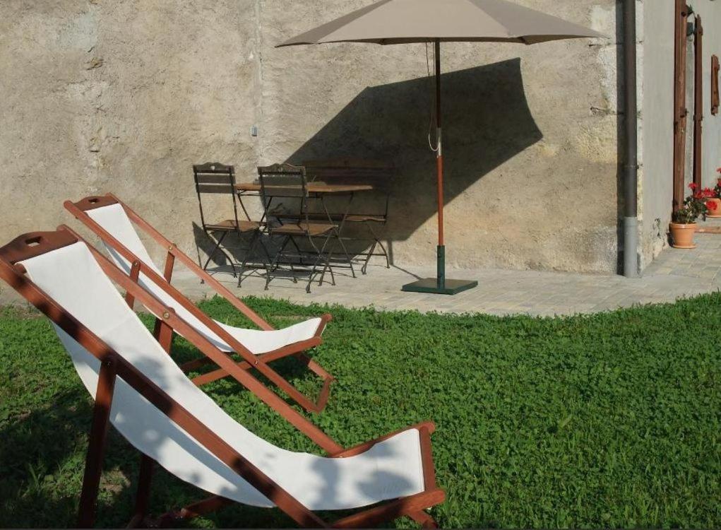 Le Domaine Du Grand Cellier Gites Appartement En Savoie Tournon-sur-Rhône Екстериор снимка