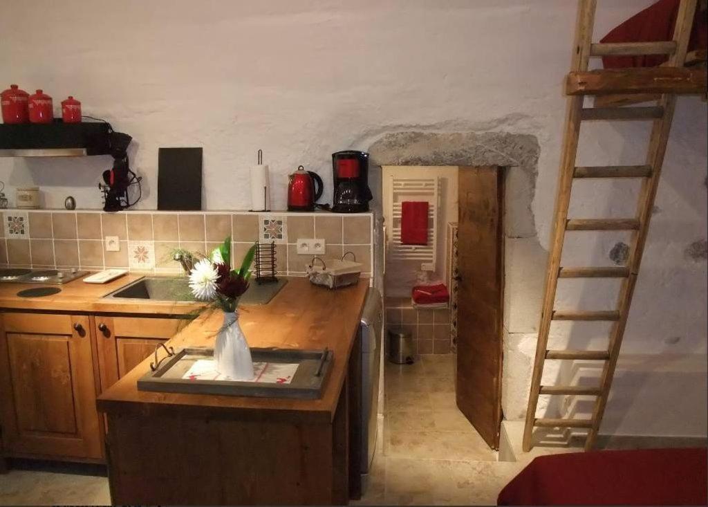 Le Domaine Du Grand Cellier Gites Appartement En Savoie Tournon-sur-Rhône Екстериор снимка